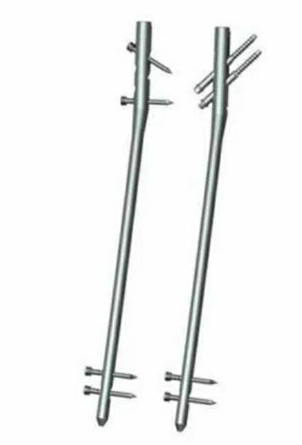 Femoral nail ss